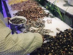 -季上烤肉·海鲜·火锅自助(大山洞店)