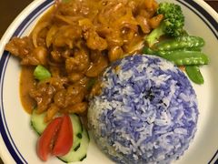 -马来MO简餐.南洋风味料理(美食街店)
