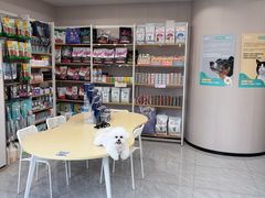 -瑞鹏宠物医院·骨科·猫科·内科(第一中心)
