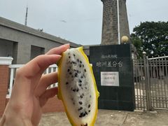 -硇洲岛旅游区