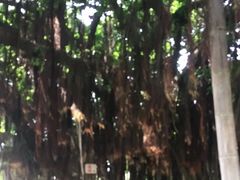 -胡里山炮台