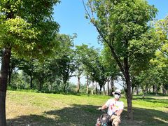 -白鹭湾湿地公园