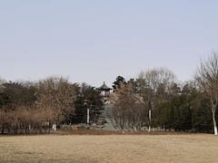 -大兴滨河森林公园