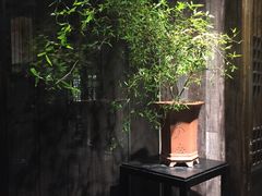 -德迹斋禅意文化茶馆·茶空间·商务洽谈•宴席(桃园店)