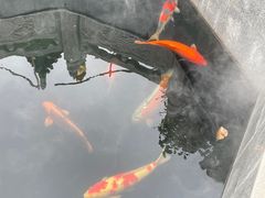 -西安市广仁寺