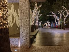-T館·花园艺术餐厅