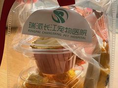 -瑞派长江宠物医院·猫科·外科·24小时夜护(谊城公寓分院)