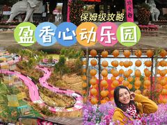 -盈香心动乐园