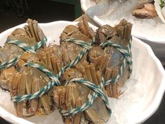 -樱煦和牛寿喜烧(如皋吾悦广场店)