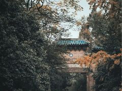 -灵谷景区