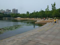 -新江湾城公园