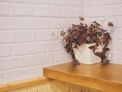 -箪食记(汉口路店)
