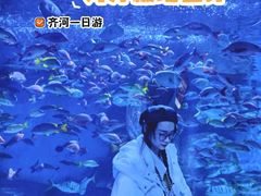 -泉城欧乐堡海洋极地世界