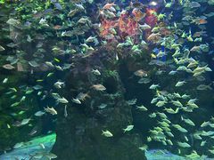 -成都浩海立方海洋公园