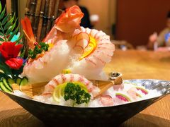 东星斑-尚海豆捞(乐虹坊店)