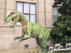 -国家自然博物馆