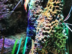 -沈阳海洋探索中心