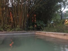 -咸宁万豪温泉谷度假区