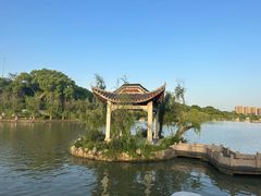 -八大山人梅湖景区