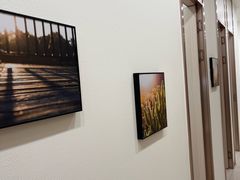 -维乐口腔(美维云门诊陆家嘴店)