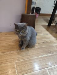 -EasyLady美甲沙龙