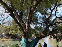 -西溪国家湿地公园