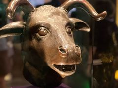 -广西壮族自治区博物馆