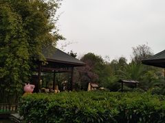 -咸宁万豪温泉谷度假区