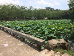 iphone_upload_pic-五邑大学