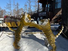 -横道河子东北虎林园