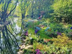 -上海共青森林公园