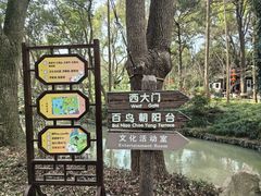 -汇龙潭