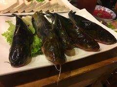 -杨家火锅(国美店)