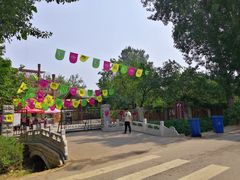 -御林古桑园