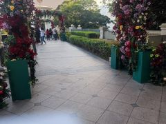 -九龙公园