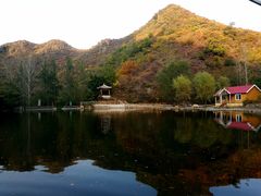 -雾灵西峰