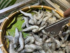 -集杰尚品海鲜烤肉自助餐厅(乳山振华店)