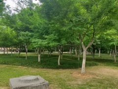 -明故宫遗址公园