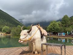 -玉龙雪山蓝月谷