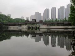 -重庆彩云湖湿地公园