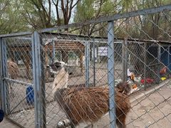 -长白岛森林公园