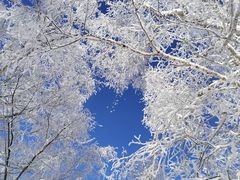 -雪谷