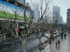 -功德林(南京西路店)