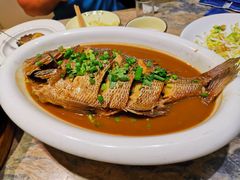 家焖加吉鱼-大连湾旭日·家宴·海肠捞饭(马栏广场店)