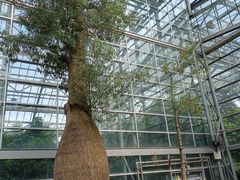 -南山植物园