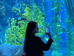 -南昌融创海世界