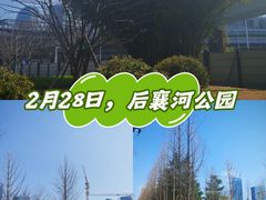 -后襄河公园