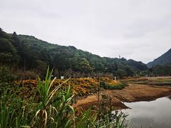 -广州市石门国家森林公园