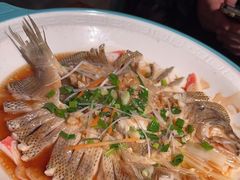 -红蜡烛-养生粥-津鲁菜(中山路店)