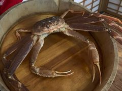 -綱元·海鲜豆捞(明州里店)